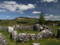 Deerpark Court Tomb